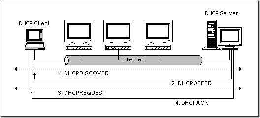 DHCP 发放流程